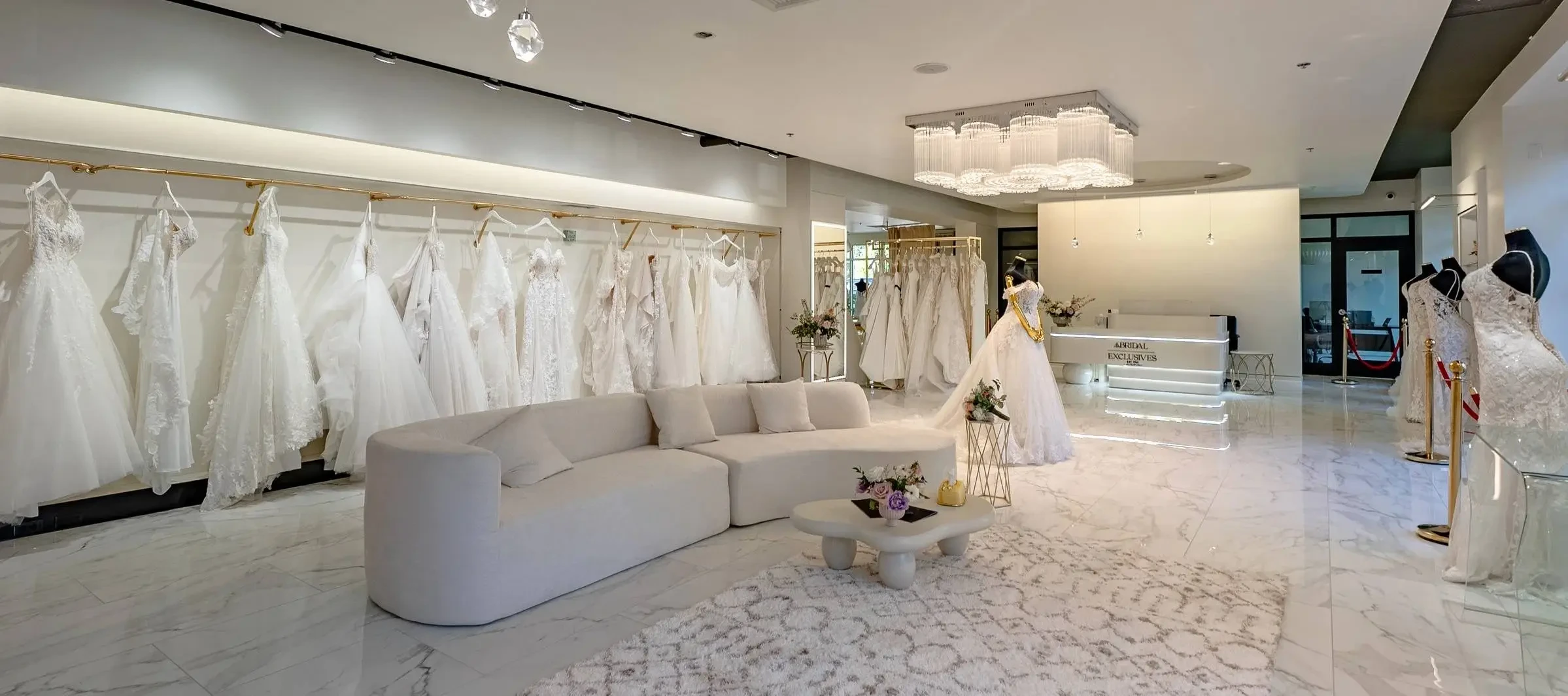 The Lumina Experience